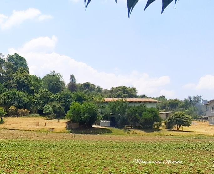 Land in San Bartolo, State of Mexico, Mexico 2 - 18766273