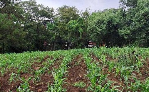 Land in Santa María Pipioltepec, State of Mexico, Mexico 1