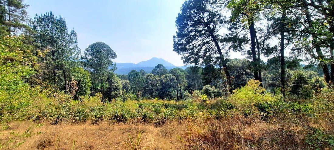 Land in Valle de Bravo, State of Mexico, Mexico 1 - 18766302