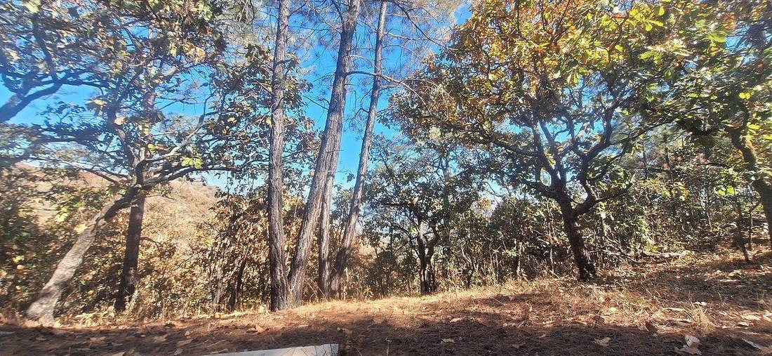 Land in San Gaspar, State of Mexico, Mexico 5 - 18766263