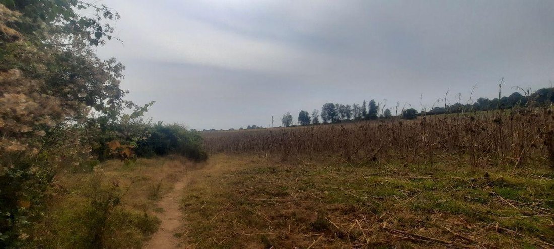 Land in El Castellano, Bundesstaat Mexiko, Mexiko 4 - 18766121