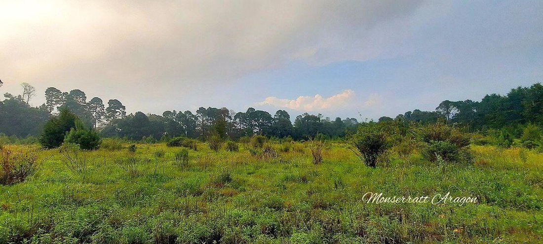 Land in Tehuastepec, Bundesstaat Mexiko, Mexiko 2 - 18766280