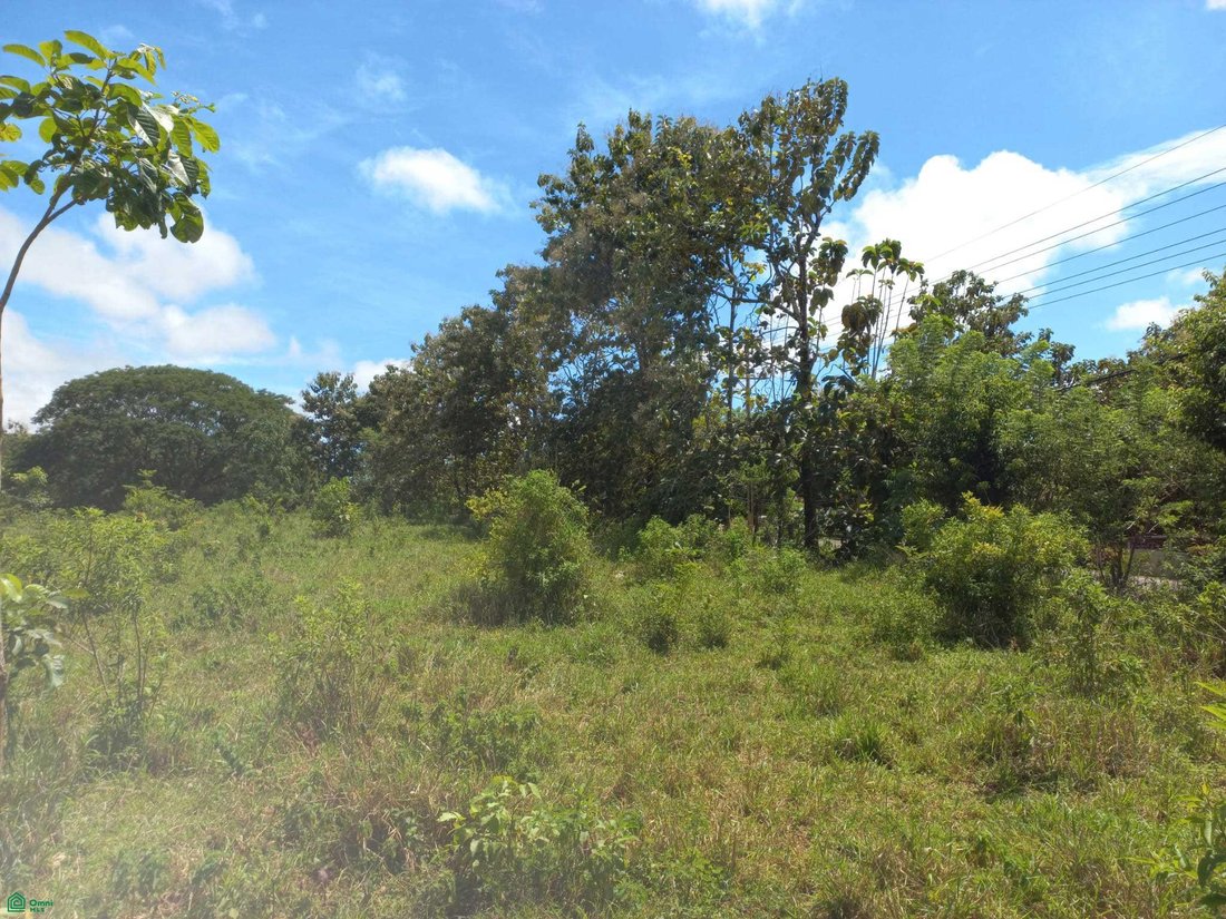 Land in Cóbano, Provinz Puntarenas, Costa Rica 4 - 18269781