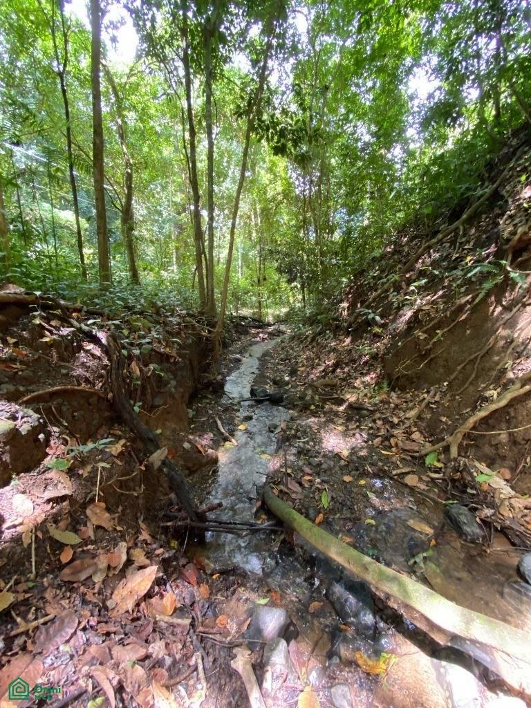 Land in Garabito, Costa Rica 2 - 17811437