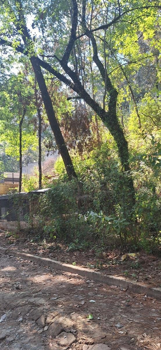 Land in Valle de Bravo, State of Mexico, Mexico 3 - 18766244