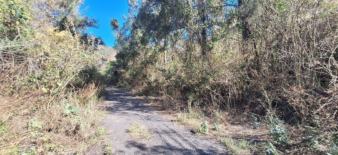 Land in San Gaspar, State of Mexico, Mexico 4 - 18766263