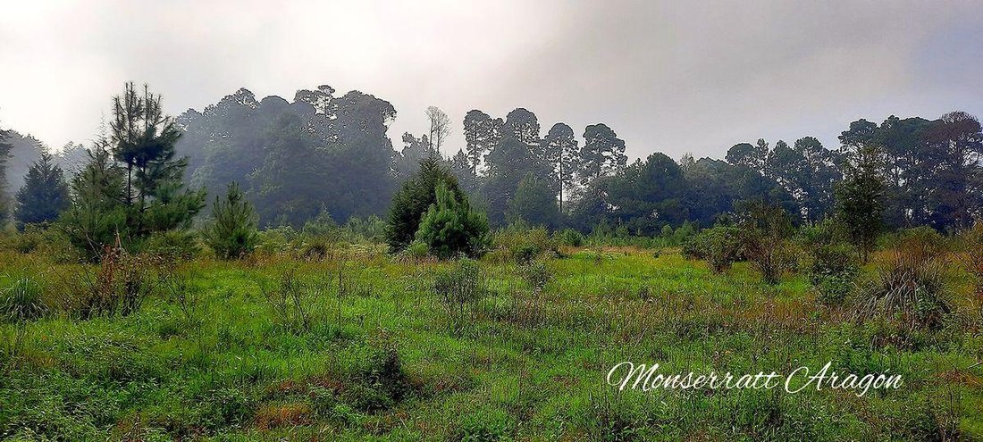 Land in Tehuastepec, Bundesstaat Mexiko, Mexiko 3 - 18766280