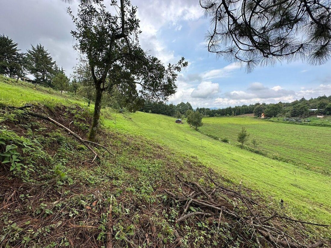Land in Valle del Bravo, Bundesstaat Mexiko, Mexiko 3 - 18766136