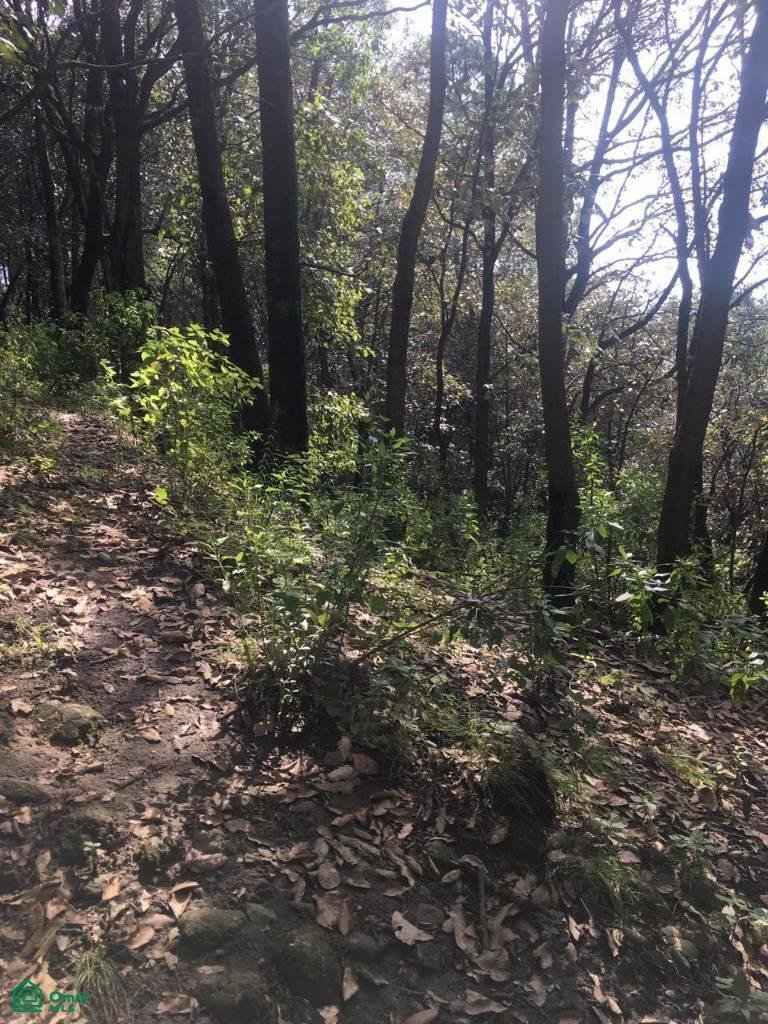 Terreno en Villa del Carbón, Estado de México, México 2 - 17815113