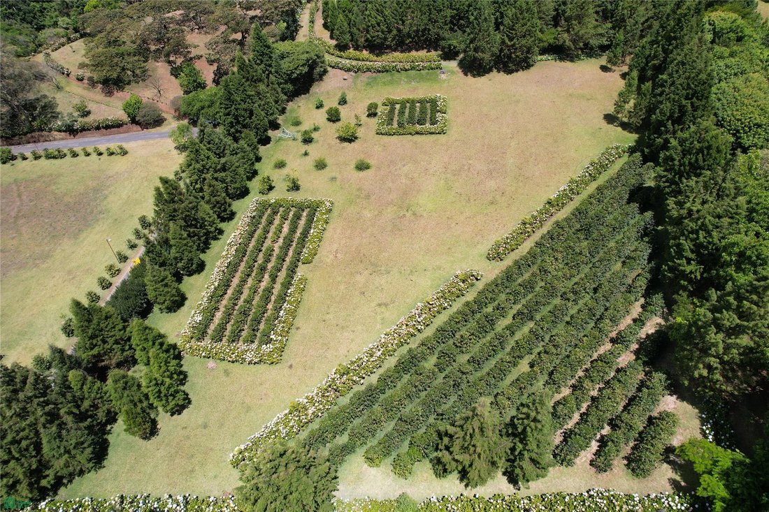 Land in San Isidro de Grecia, Provinz Alajuela, Costa Rica 2 - 17804849