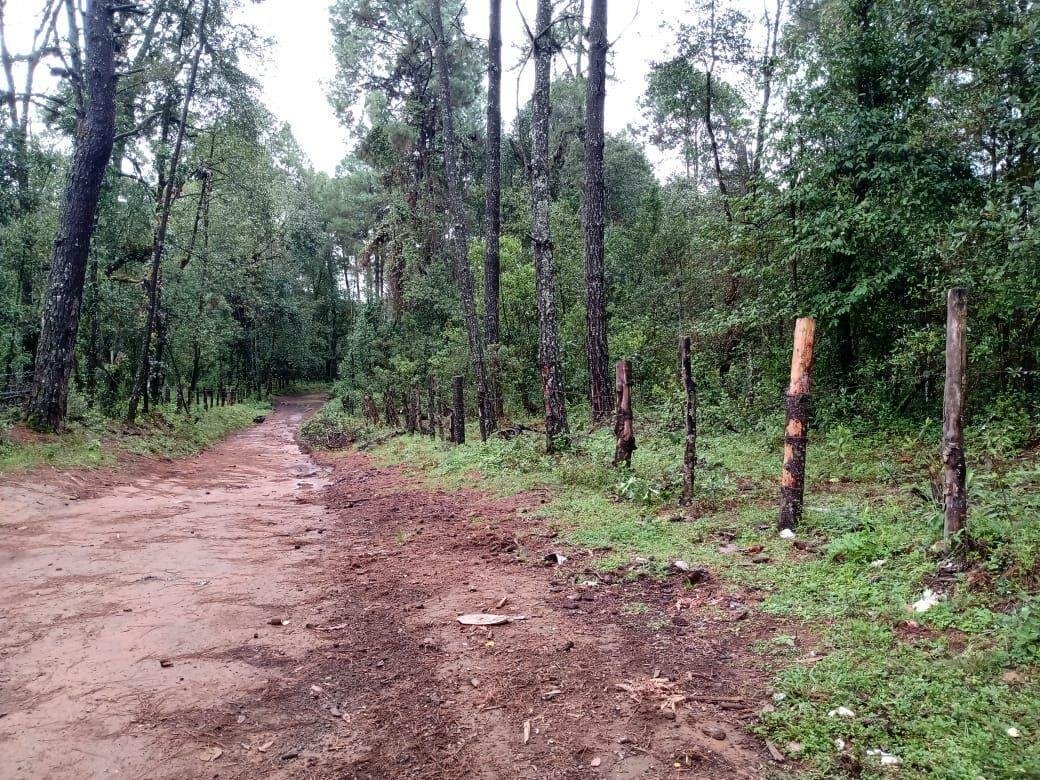 Land in Pinal del Marquesado, State of Mexico, Mexico 2 - 18766210