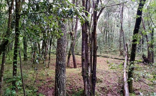 Land in Pinal del Marquesado, State of Mexico, Mexico 1