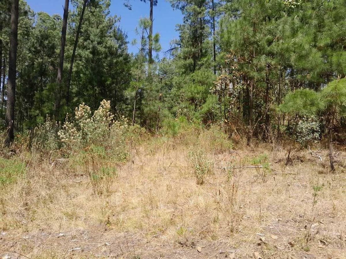 Terrain à Amanalco de Becerra, État de Mexico, Mexique 2 - 18766203