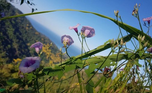 Terreno a Carara, San José, Costa Rica 1