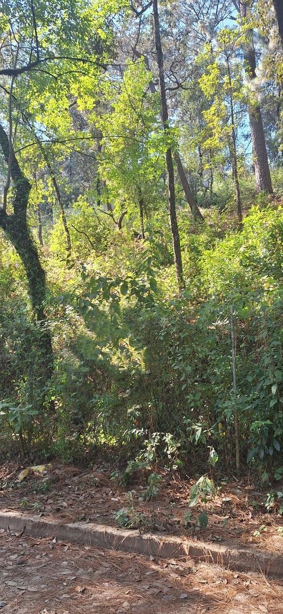 Land in Valle de Bravo, State of Mexico, Mexico 5 - 18766244