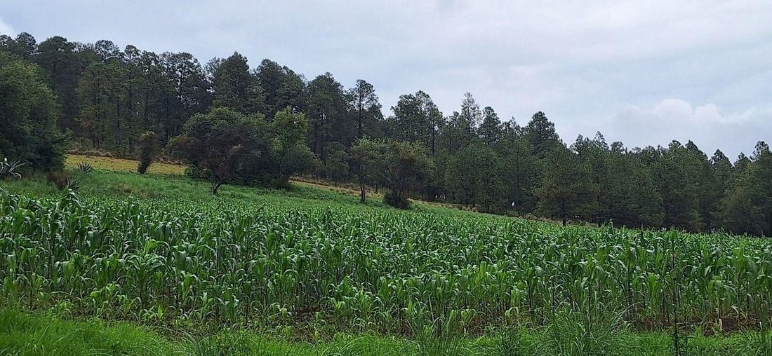 Land in Sabana de Taborda 1ra. Sección, State of Mexico, Mexico 5 - 18766183