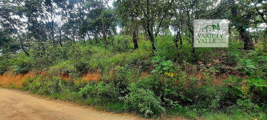 Land in La Boquilla, Bundesstaat Mexiko, Mexiko 4 - 18766205