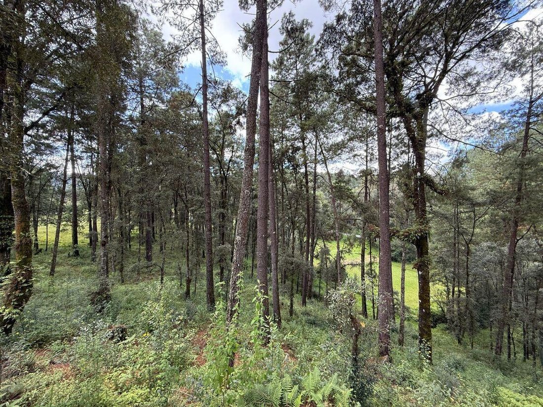 Terrain à Los Saucos, État de Mexico, Mexique 4 - 18766145