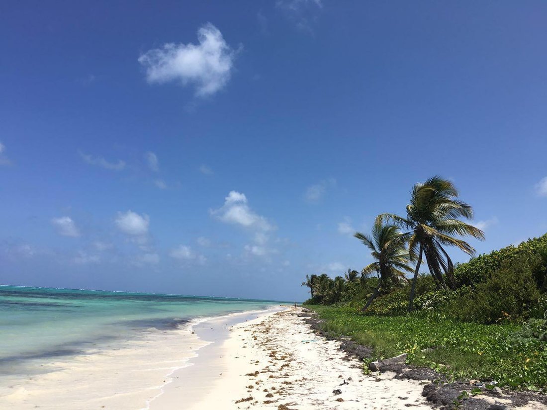 Terreno a Río Huache, Quintana Roo, Messico 2 - 18636910