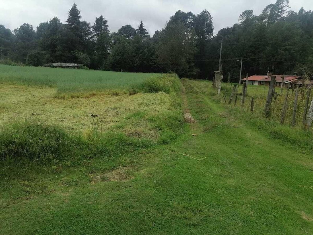 Terreno a Los Saucos, Stato del Messico, Messico 4 - 18766276