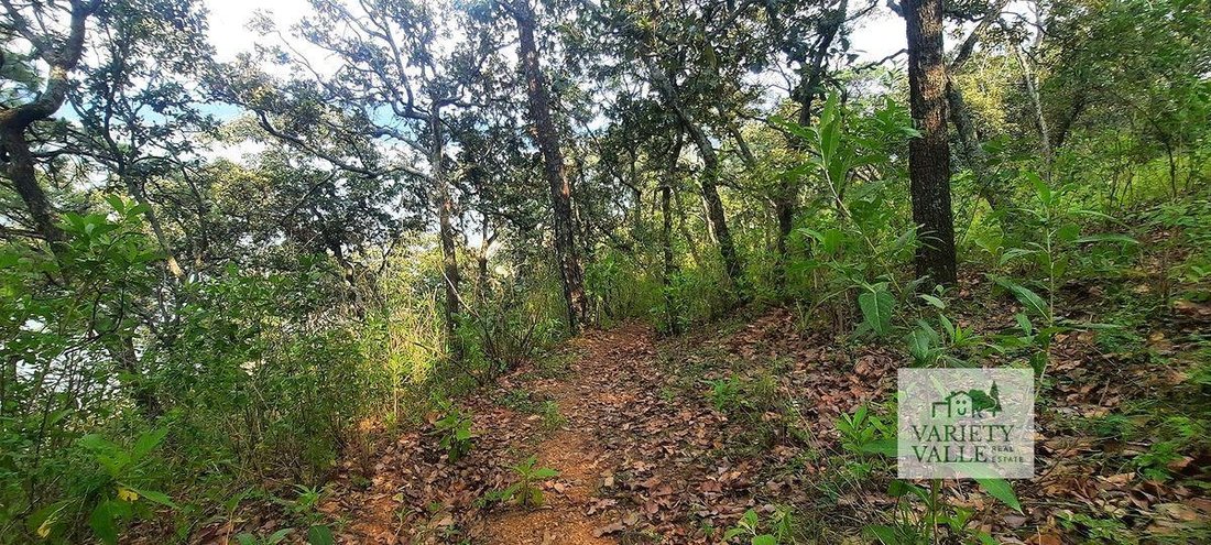 Land in La Boquilla, Bundesstaat Mexiko, Mexiko 5 - 18766205