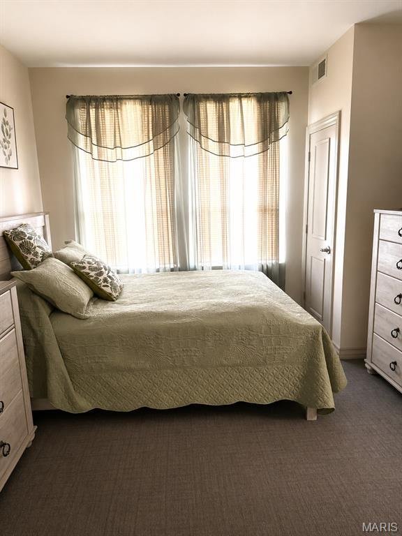Altro a St. Louis, Missouri, Stati Uniti 5 - 18764349