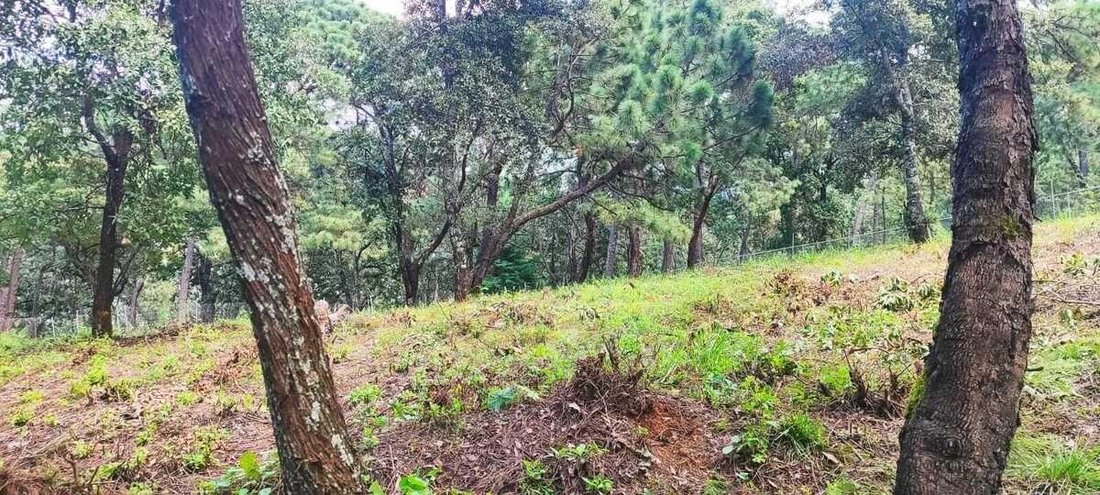 Terreno en Valle de Bravo, Estado de México, México 2 - 18766185