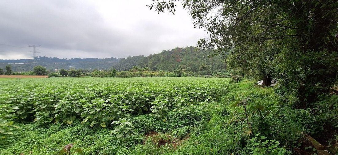 Land in Polvillos, State of Mexico, Mexico 4 - 18766144
