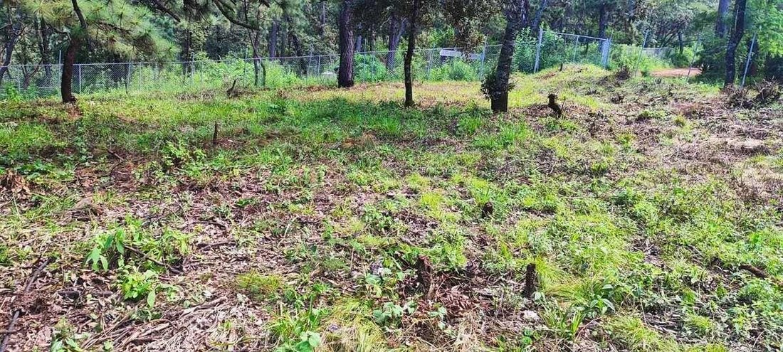 Terreno en Valle de Bravo, Estado de México, México 1 - 18766185