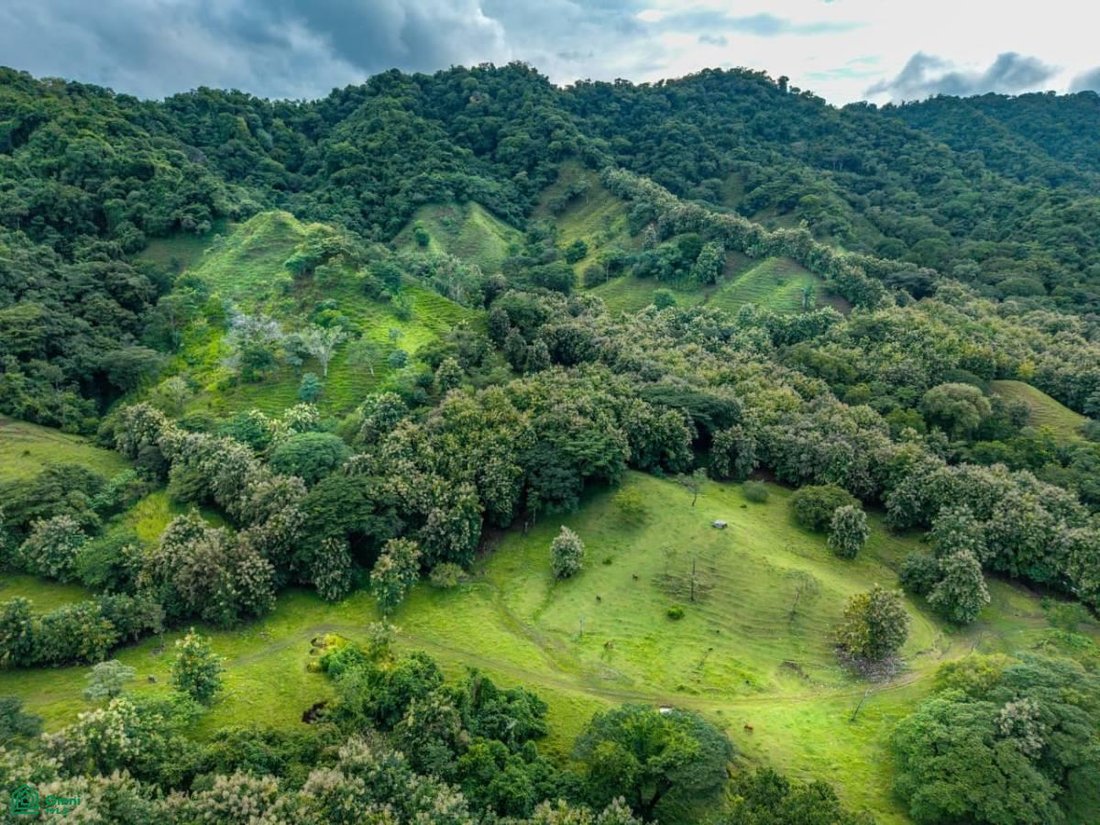 Land in Paquera, Provinz Puntarenas, Costa Rica 4 - 18726421