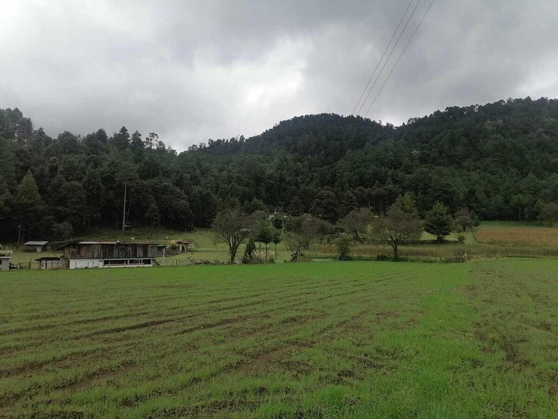 Terreno a Los Saucos, Stato del Messico, Messico 5 - 18766276