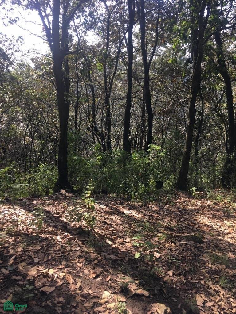 Terreno en Villa del Carbón, Estado de México, México 1 - 17815113