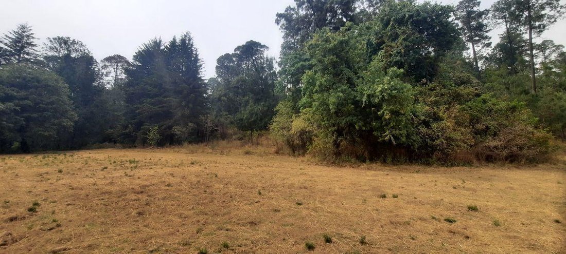 Land in El Castellano, State of Mexico, Mexico 5 - 18766112