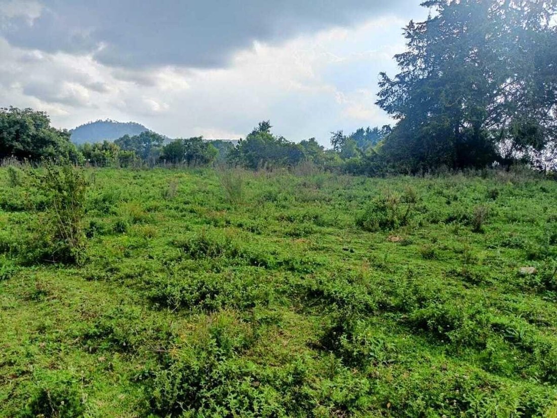 Land in Valle del Bravo, Bundesstaat Mexiko, Mexiko 4 - 18766226
