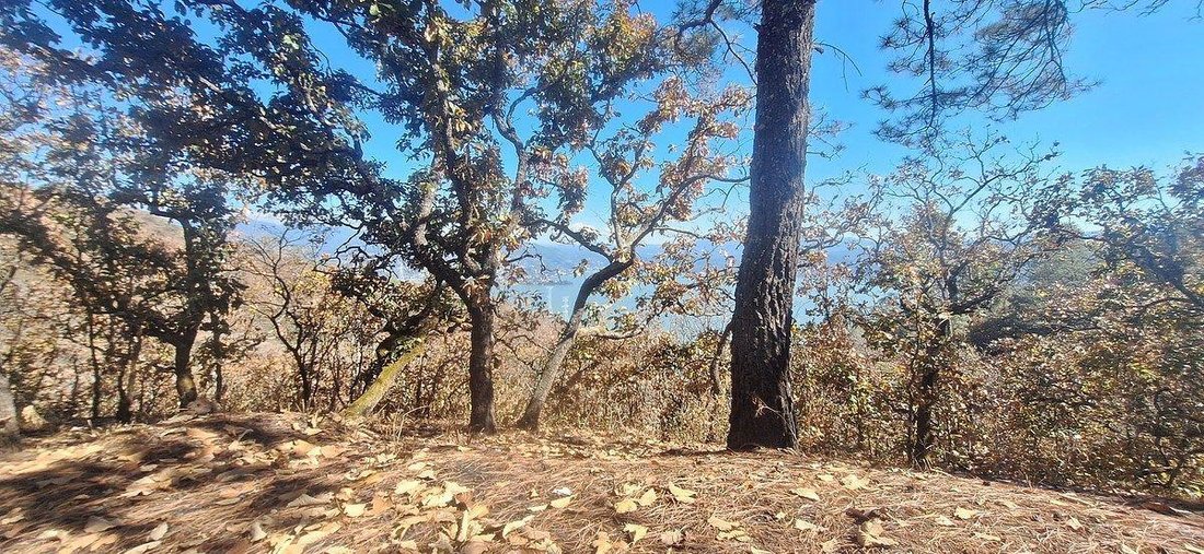 Land in San Gaspar, State of Mexico, Mexico 3 - 18766263