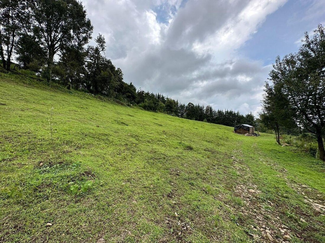 Land in Valle del Bravo, Bundesstaat Mexiko, Mexiko 2 - 18766136