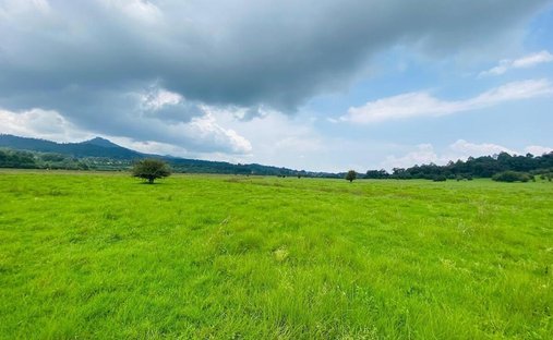 Land in Santo Tomás el Pedregal, Bundesstaat Mexiko, Mexiko 1
