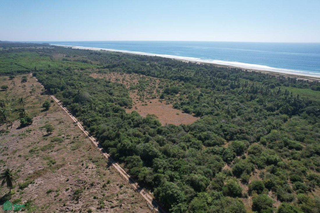 Land in Campamento Cerro Hermoso, Oaxaca, Mexico 5 - 18518548