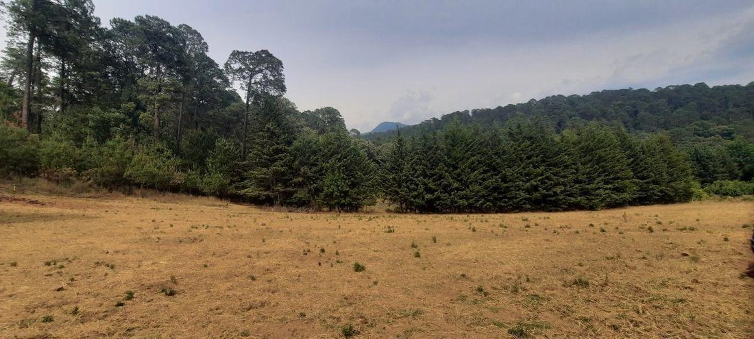 Land in El Castellano, State of Mexico, Mexico 2 - 18766112