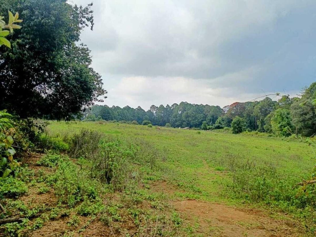 Land in Valle del Bravo, Bundesstaat Mexiko, Mexiko 3 - 18766226