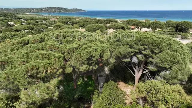 Haus in Ramatuelle, Provence-Alpes-Côte d'Azur, Frankreich 4 - 16246979