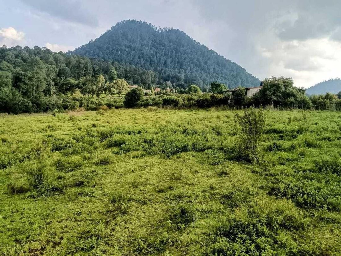 Land in Valle del Bravo, Bundesstaat Mexiko, Mexiko 1 - 18766226