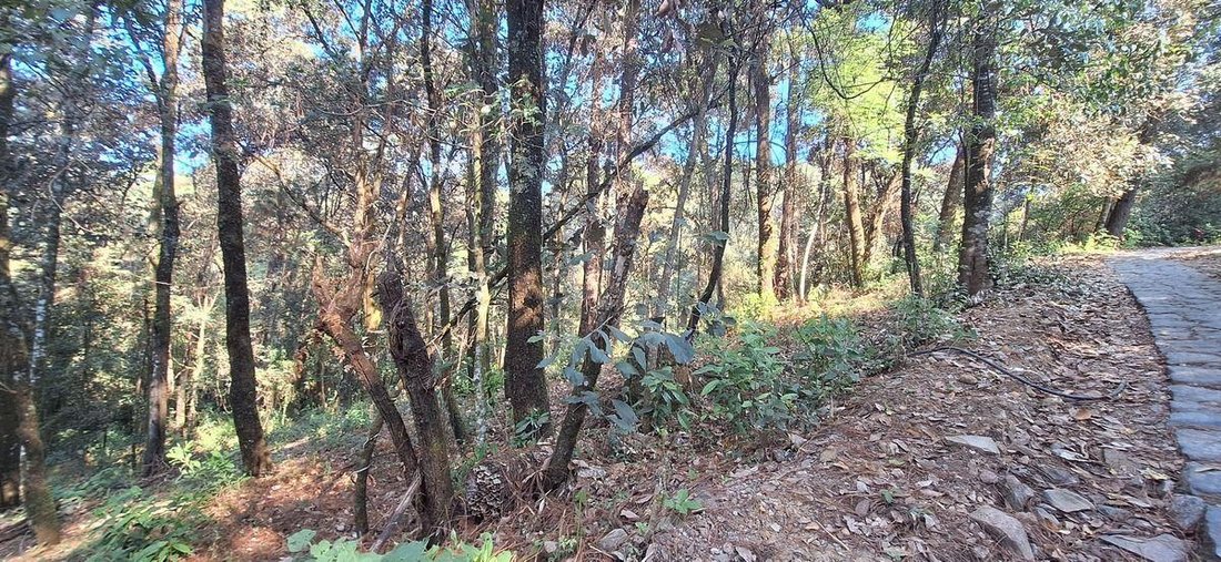 Land in El Castellano, State of Mexico, Mexico 1 - 18766167