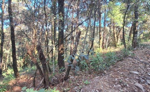 Terreno en El Castellano, Estado de México, México 1