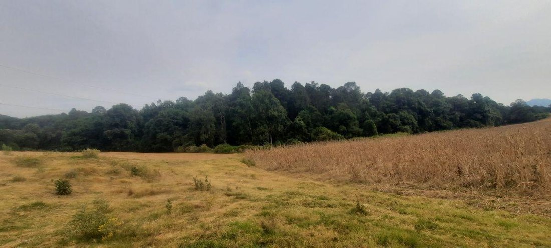 Land in El Castellano, Bundesstaat Mexiko, Mexiko 1 - 18766121