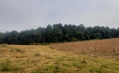 Land in El Castellano, Bundesstaat Mexiko, Mexiko 1