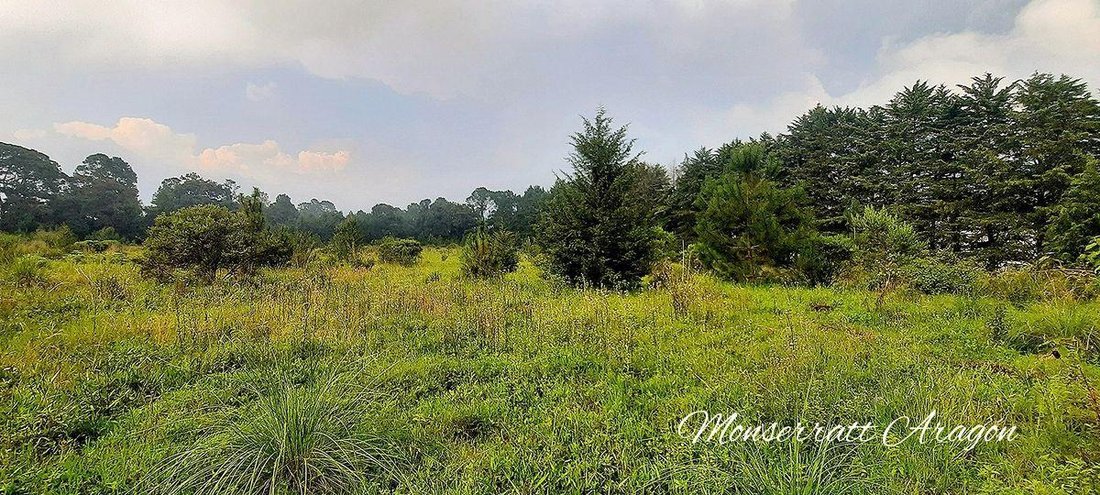 Land in Tehuastepec, Bundesstaat Mexiko, Mexiko 1 - 18766280