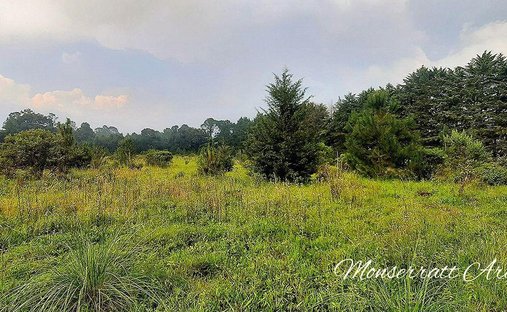 Land in Tehuastepec, State of Mexico, Mexico 1