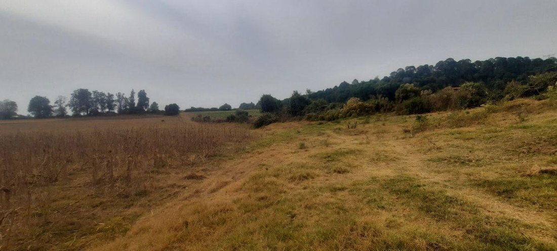 Land in El Castellano, Bundesstaat Mexiko, Mexiko 3 - 18766121
