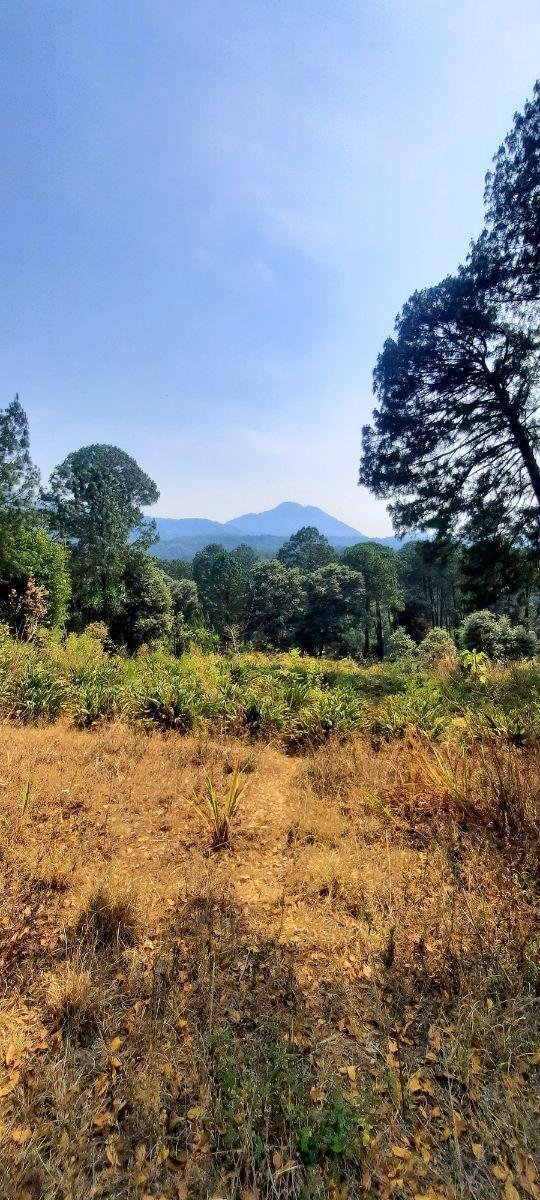 Land in Valle de Bravo, State of Mexico, Mexico 3 - 18766302